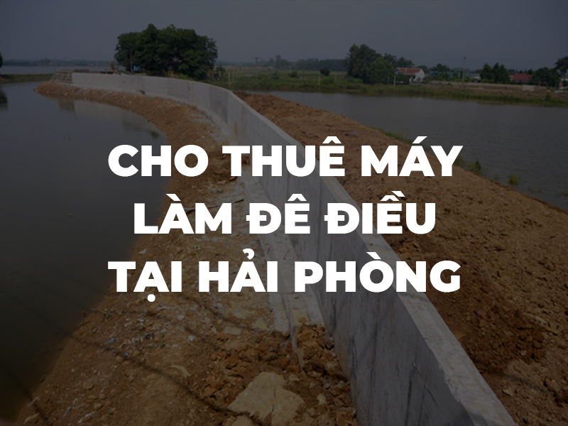 Làm đê, nạo vét mương máng, âu tàu